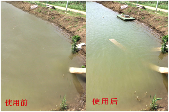 渾濁水、對(duì)蝦吃料差怎么處理？